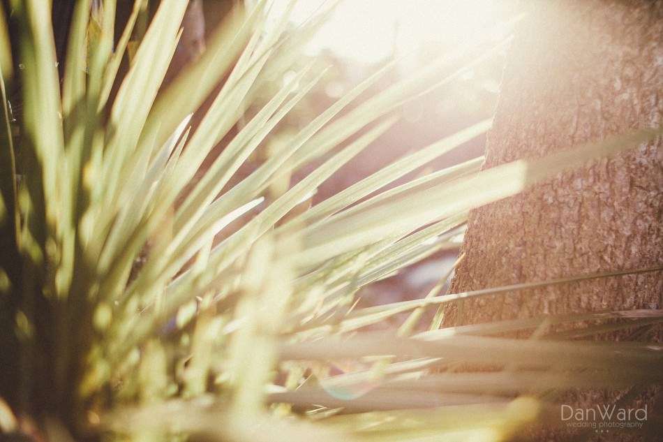 Cornwall wedding photographer explains how to use freelensing to create a titlt shift effect