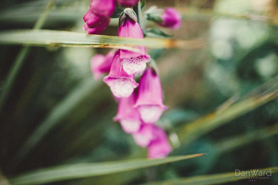 Cornwall wedding photographer explains how to use freelensing to create a titlt shift effect