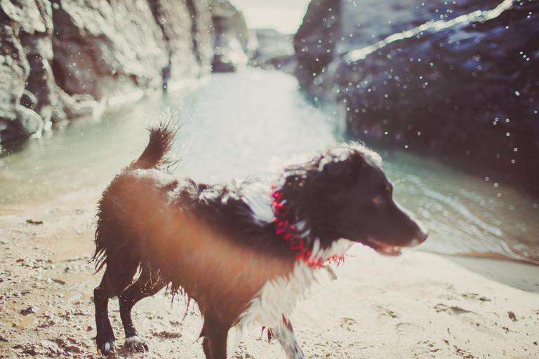 Christmas Cornwall Wedding photographer