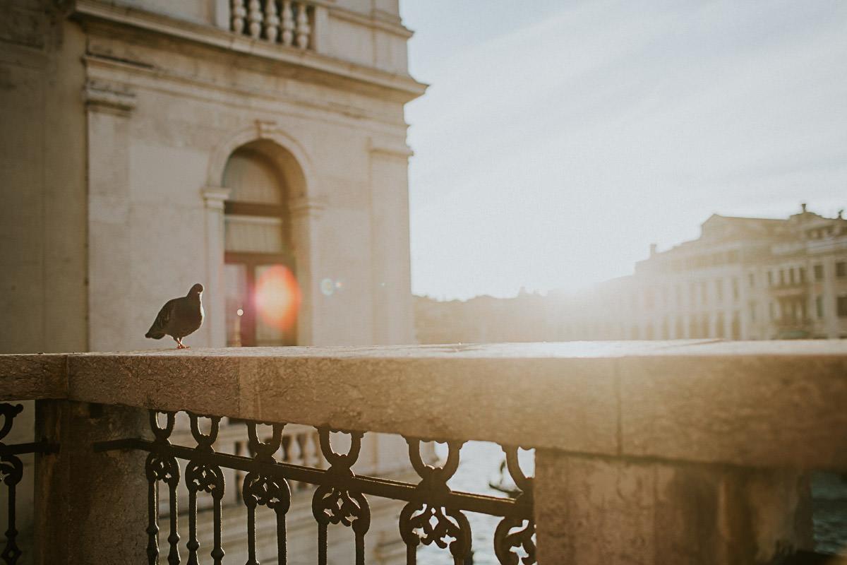 wedding photographer venice taking photographs of the stunning city
