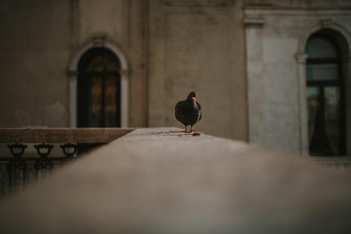 wedding photographer venice taking photographs of the stunning city