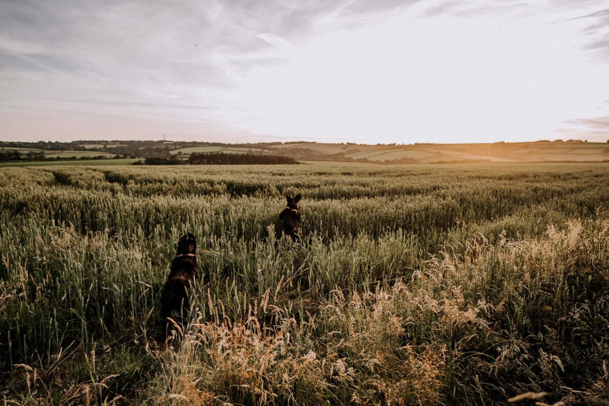 Devon Wedding Photography