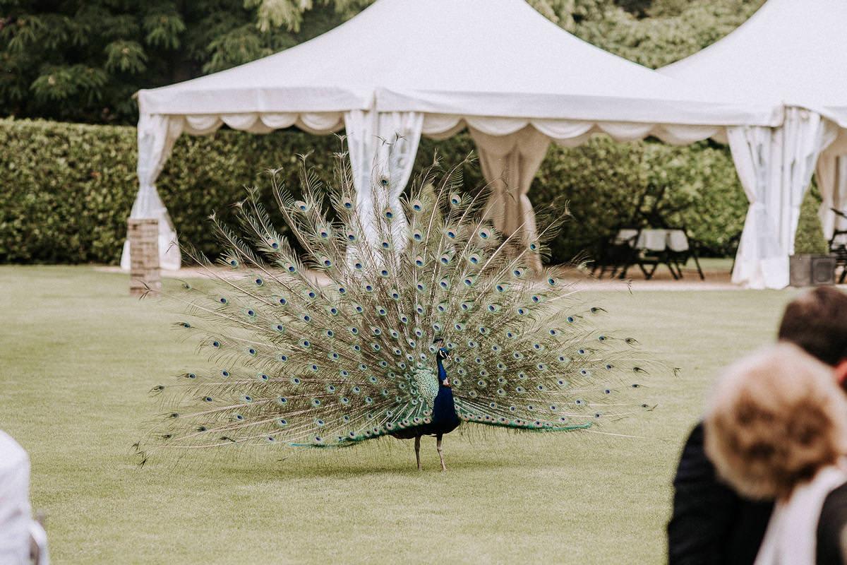 Larmer Tree Gardens Wedding Photographer