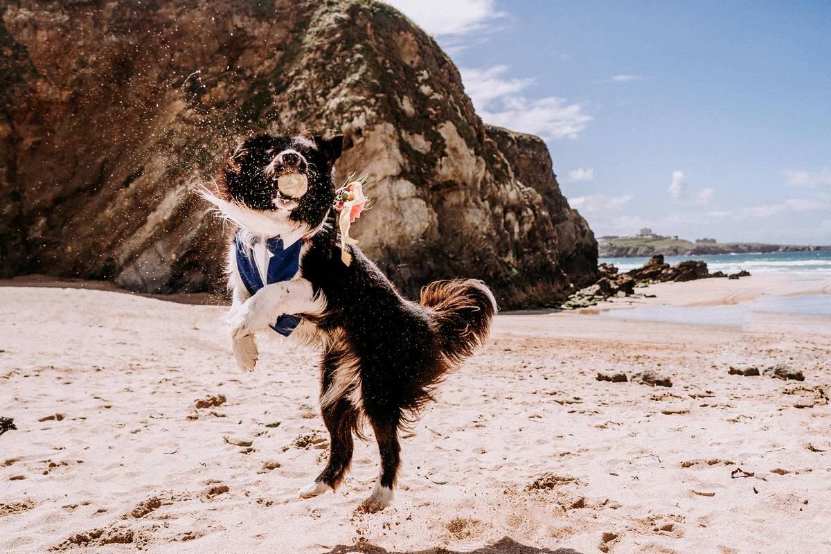 LUSTY GLAZE BEACH WEDDING PHOTOGRAPHER