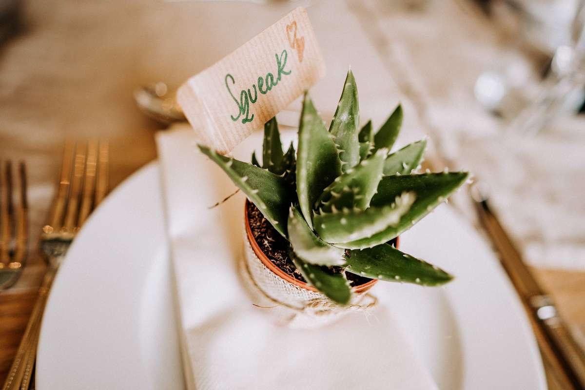 The Rosevine Wedding Photographer