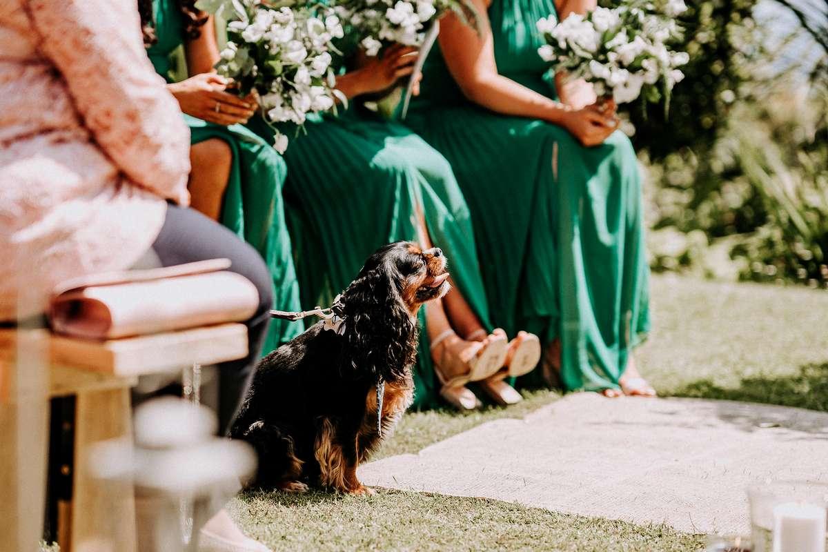 The Rosevine Wedding Photographer