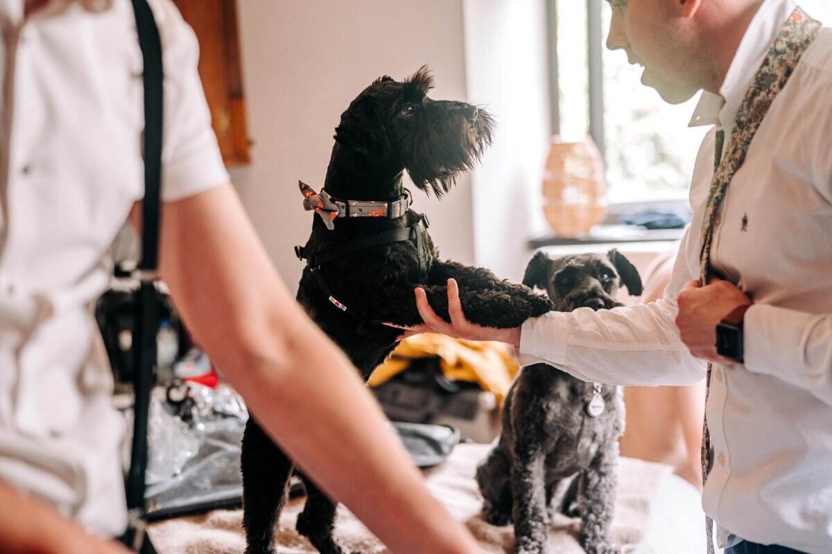 Dartmoor Wedding Photographer