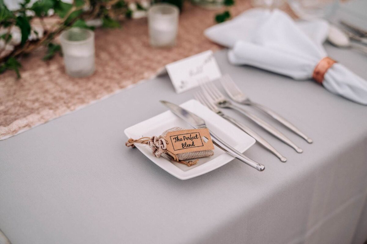 Dartmoor Wedding Photographer