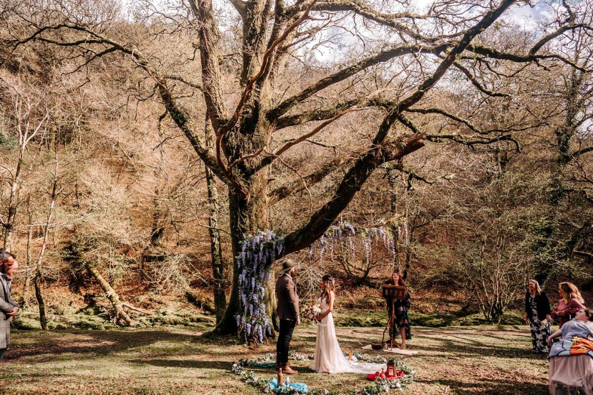 tavistock wedding photography