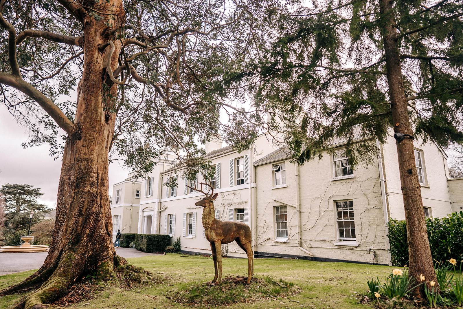 DEER PARK WEDDING PHOTOGRAPHER