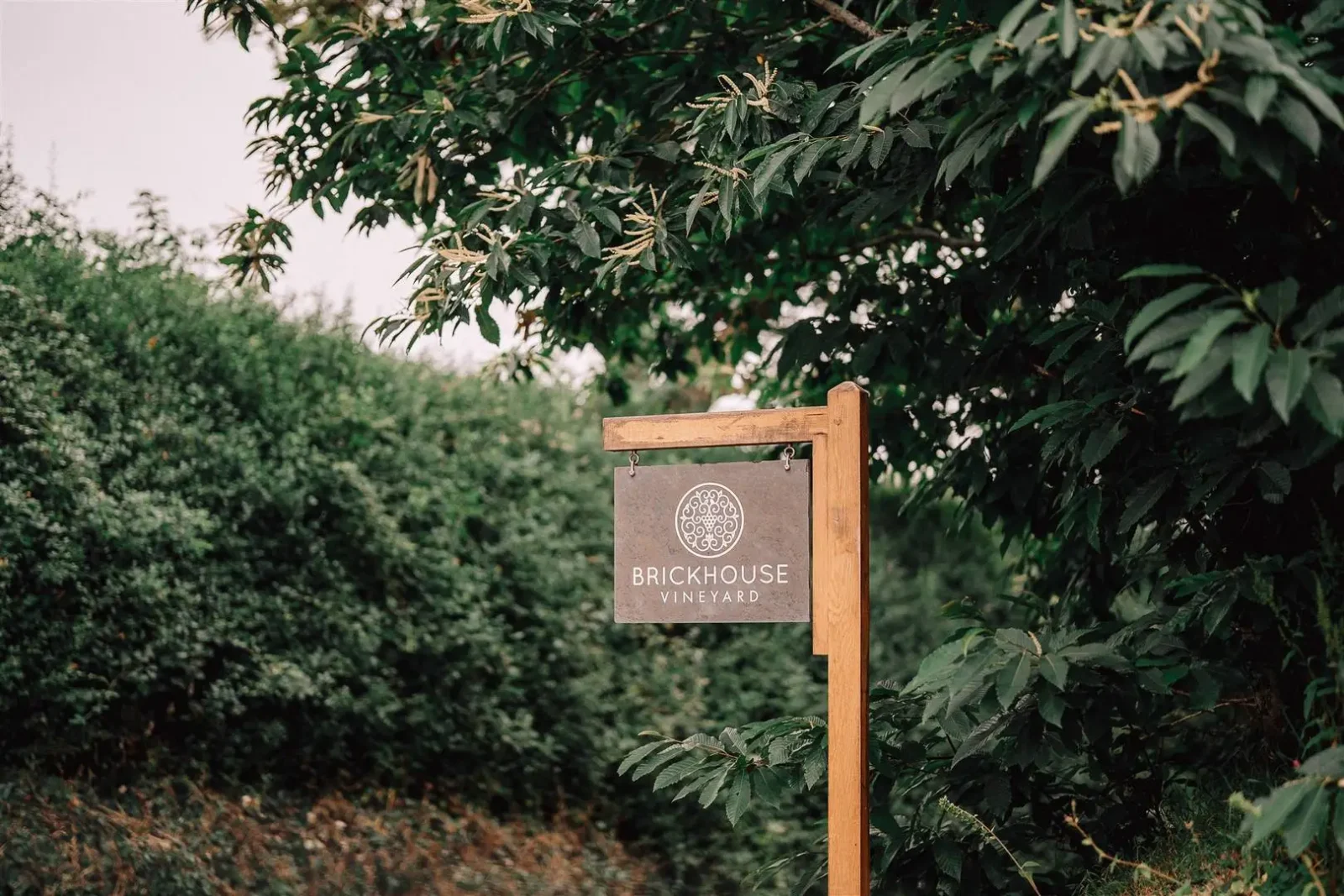 Brickhouse Vineyard Wedding Photography