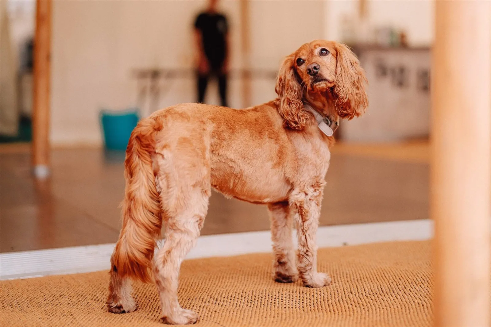 Place Estate Wedding Photographer