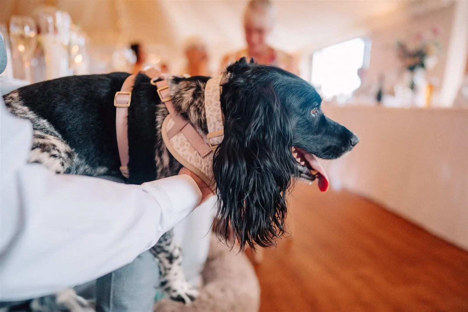 Polperro Wedding Photographer